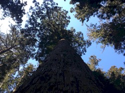 the morning slowly comes