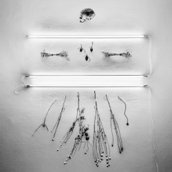 The Abyss Stares Back - Vol. V