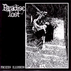 Frozen Illusion