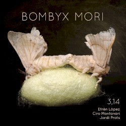 Bombyx Mori