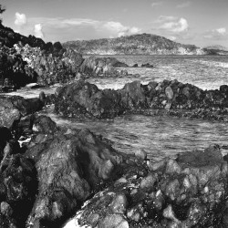 Love over Will (Remixes)