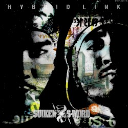 Hybrid Link