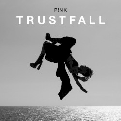 TRUSTFALL