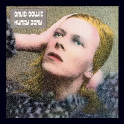 Hunky Dory