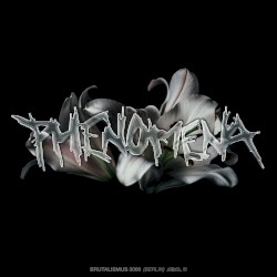 Phenomena