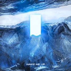 Wake Me Up