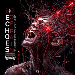 Echoes of Pain