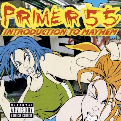 Introduction to Mayhem