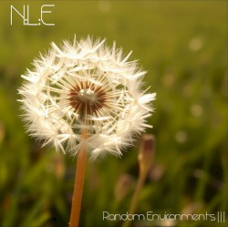 Random Environments |||