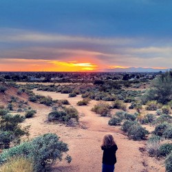 Small Moves, Ellie, Small Moves