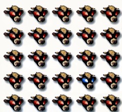 High Proof Cosmic Milk