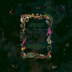 LP 12" Autumn '20