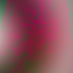 les spores qui chuchotent