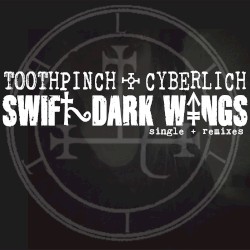 Swift Dark Wings - Extended Single