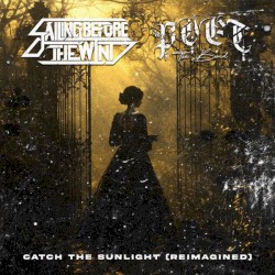 Catch the Sunlight (reimagined)