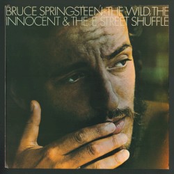 The Wild, the Innocent & The E Street Shuffle