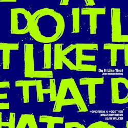 Do It Like That (Alan Walker remix)