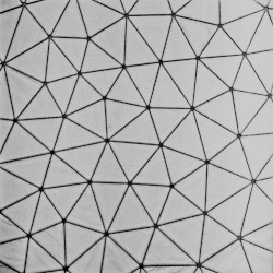 The Dystopian Episodes