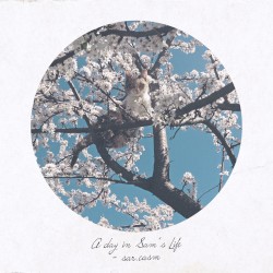 A Day in Sam’s Life