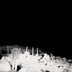The Outer Dark