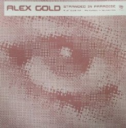 Stranded in Paradise