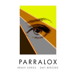 Remix Series: DMT Berzerk