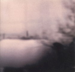 What a Long Strange Journey This Has Been