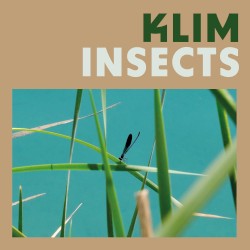 Insects