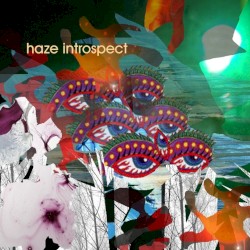 Haze Introspect