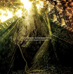 Hacia aquellos bosques de immensidad