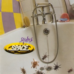Spiders