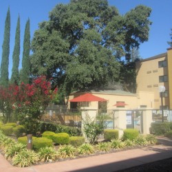 Sacramento, September 14th, 2019