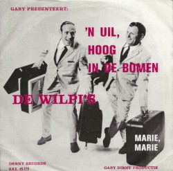 ’n Uil hoog in de bomen