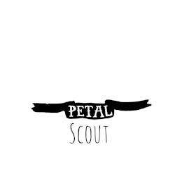 Scout