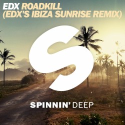 Roadkill (EDX radio mix)