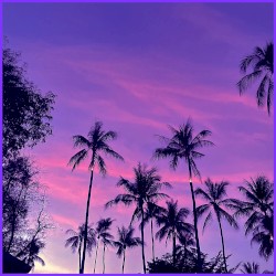 На Сиреневой Луне