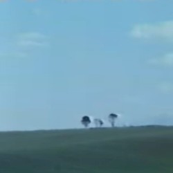 自然