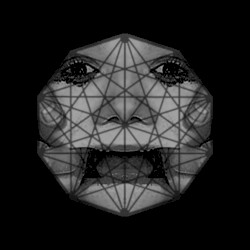 Maximum Bitterness Has Been Achieved