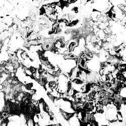 We Are Not Our Dread