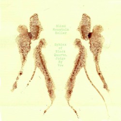 Sphinx of Black Quartz, Judge My Vow