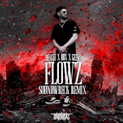 FLOWZ (Soundwreck remix)