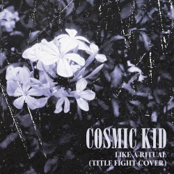 Like A Ritual (Title Fight Cover)