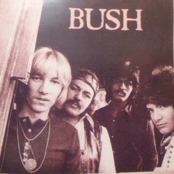 Bush