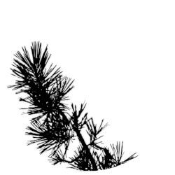 MMXX - 12: Browner
