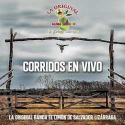 Corridos en vivo