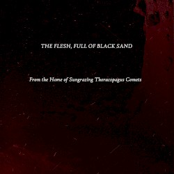 From the Home of Sungrazing Thoracopagus Comets