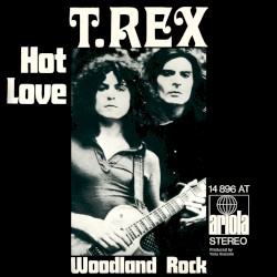 Hot Love