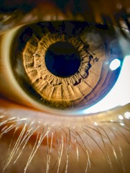 Istra Balagina Kish Kish Karia