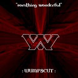 :Somthing Wonderful: