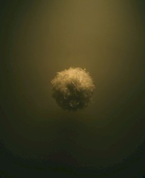 Footloose and Fancy-Free: The Free Jazz Piano Recitals Series, Vol. 2